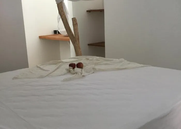Odoya Morro de São Paulo